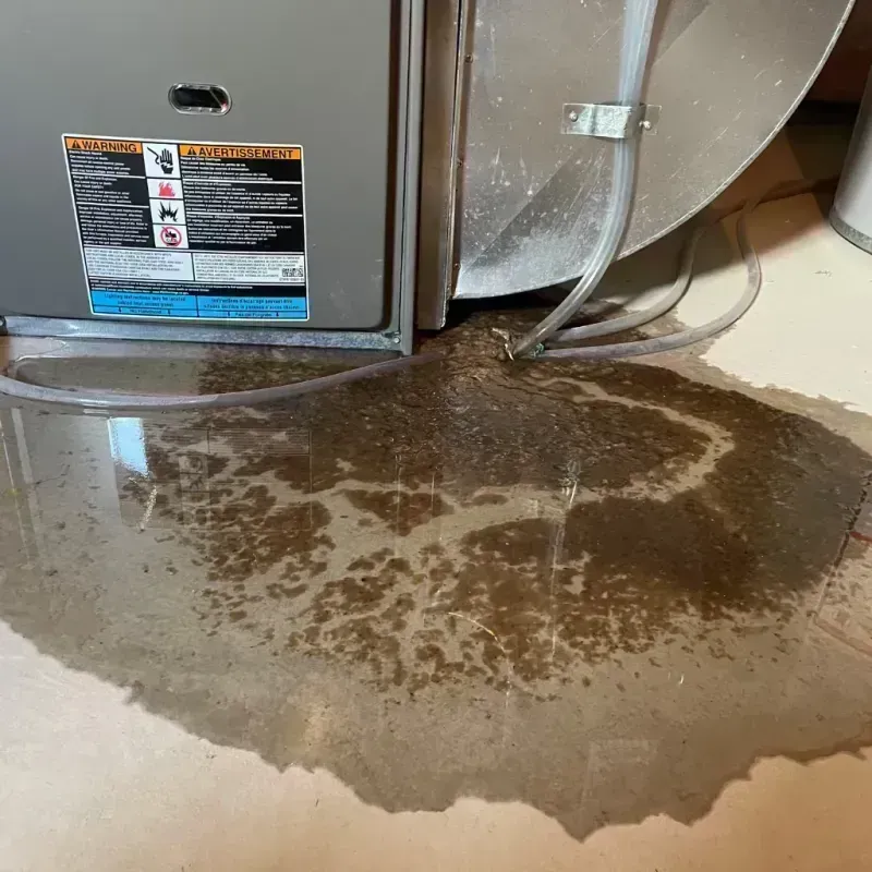 Appliance Leak Cleanup in Sissonville, WV